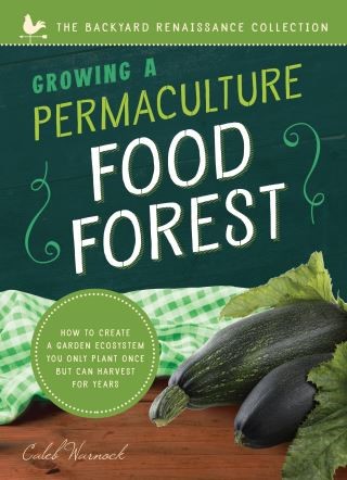 Growing a Permaculture Food Forest Cover Image