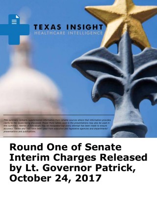 Round One of Senate Interim Charges Released by Lt. Governor Patrick Cover Image