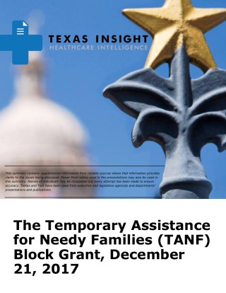 The Temporary Assistance for Needy Families (TANF) Block Grant Cover Image