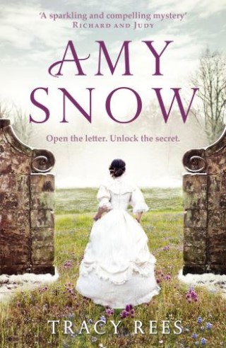 Amy Snow Cover Image