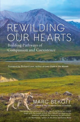 Rewilding Our Hearts Cover Image