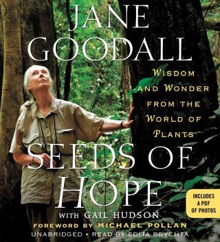 Seeds of Hope Cover Image