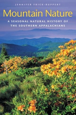 Mountain Nature Cover Image