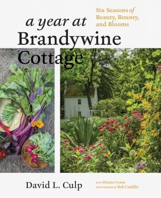 A Year at Brandywine Cottage Cover Image