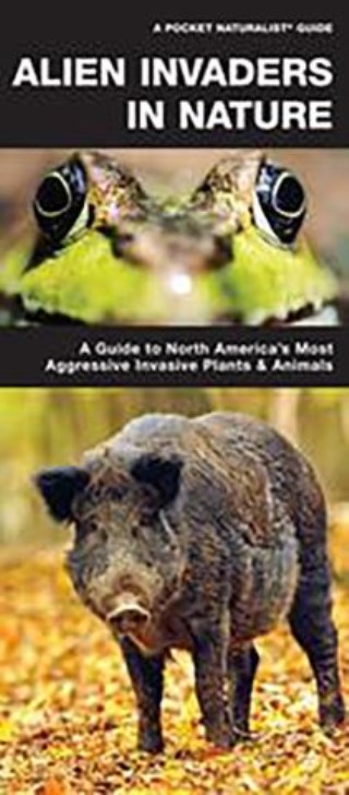 Alien Invaders in Nature Cover Image