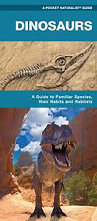 Dinosaurs Cover Image