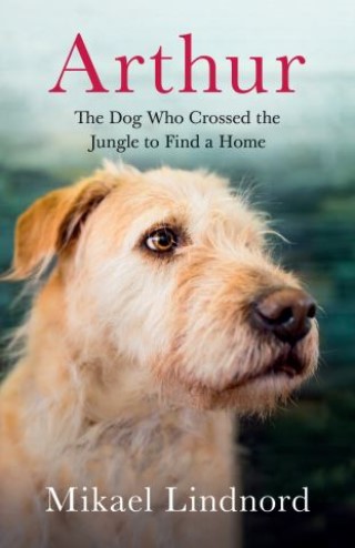 Arthur Cover Image
