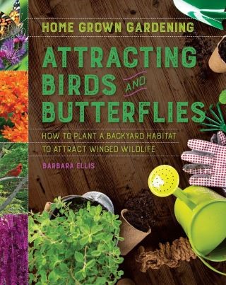 Attracting Birds and Butterflies Cover Image