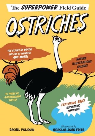 Ostriches Cover Image