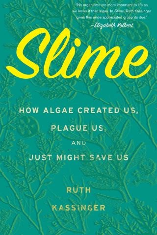 Slime Cover Image