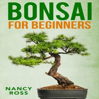 Bonsai for Beginners Cover Image