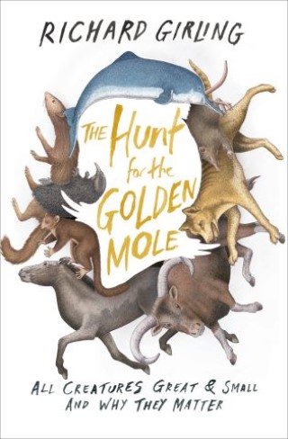 The Hunt for the Golden Mole Cover Image