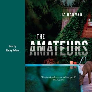 The Amateurs Cover Image