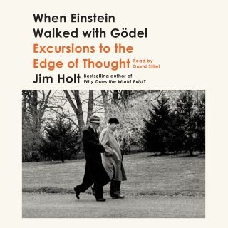 When Einstein Walked with Gödel Cover Image