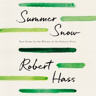 Summer Snow Cover Image