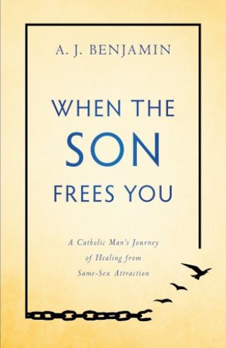 When the Son Frees You Cover Image