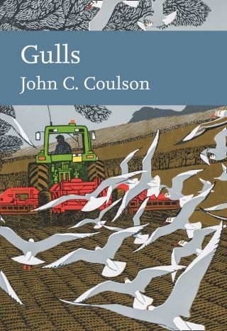 Gulls (Collins New Naturalist Library, Book 139) Cover Image