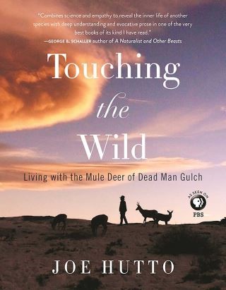 Touching the Wild Cover Image