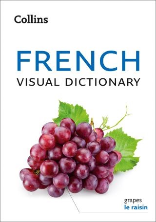 French Visual Dictionary: A photo guide to everyday words and phrases in French (Collins Visual Dictionary) Cover Image