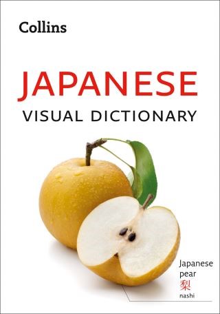 Japanese Visual Dictionary: A photo guide to everyday words and phrases in Japanese (Collins Visual Dictionary) Cover Image