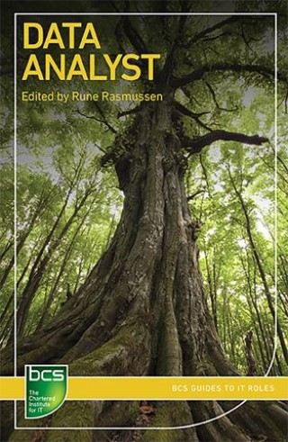 Data Analyst Cover Image