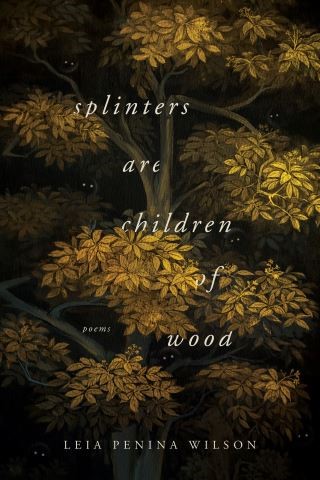 Splinters Are Children of Wood Cover Image