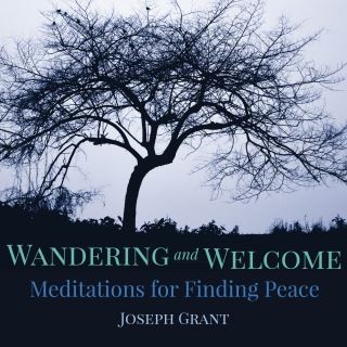 Wandering and Welcome Cover Image