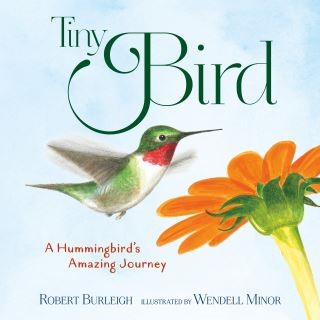 Tiny Bird Cover Image