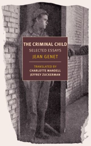 The Criminal Child Cover Image