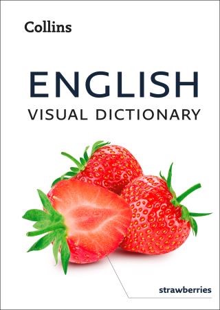 English Visual Dictionary: A photo guide to everyday words and phrases in English (Collins Visual Dictionary) Cover Image