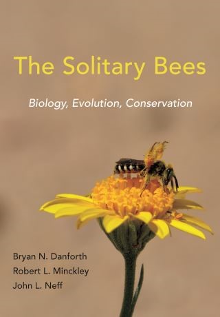 The Solitary Bees Cover Image