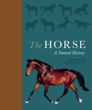 The Horse Cover Image