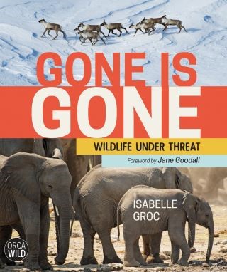Gone is Gone Cover Image