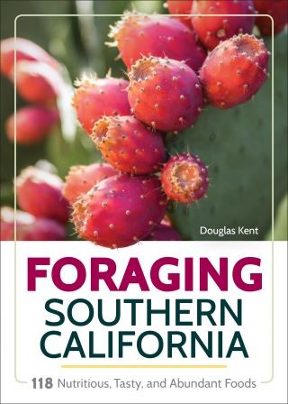 Foraging Southern California Cover Image