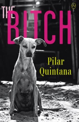 The Bitch Cover Image