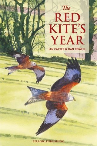 The Red Kites Year Cover Image