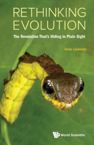 Rethinking Evolution Cover Image