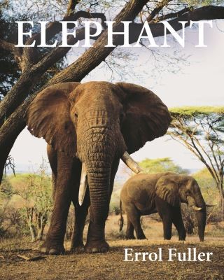Elephant Cover Image