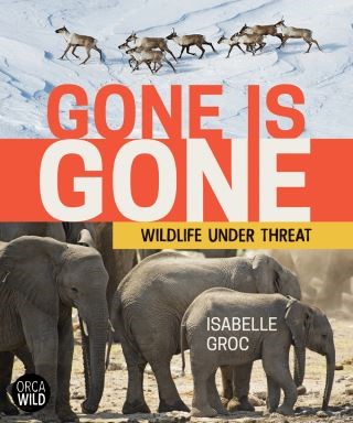 Gone is Gone Cover Image