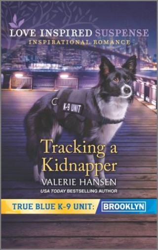 Tracking a Kidnapper Cover Image