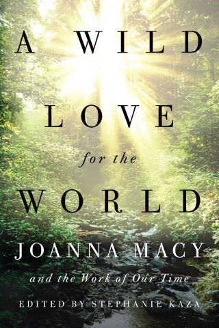 A Wild Love for the World Cover Image