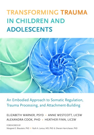 Transforming Trauma in Children and Adolescents Cover Image