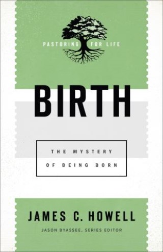 Birth (Pastoring for Life: Theological Wisdom for Ministering Well) Cover Image