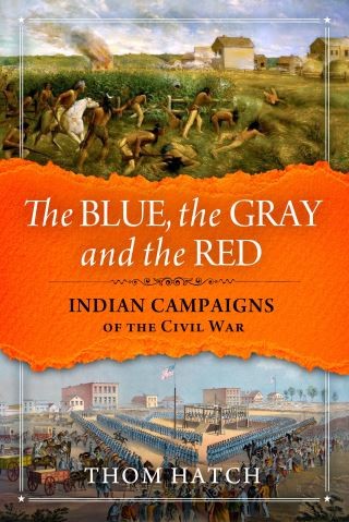 The Blue, The Gray and The Red Cover Image
