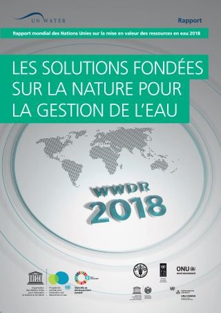 Rapport mondial des Nations Unies sur la mise en valeur des ressources en eau 2018 Cover Image