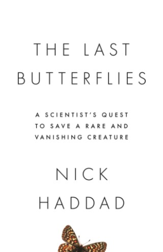 The Last Butterflies Cover Image
