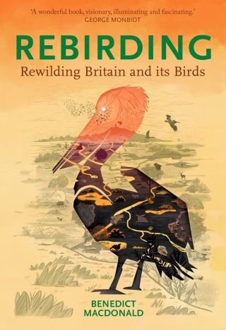 Rebirding Cover Image