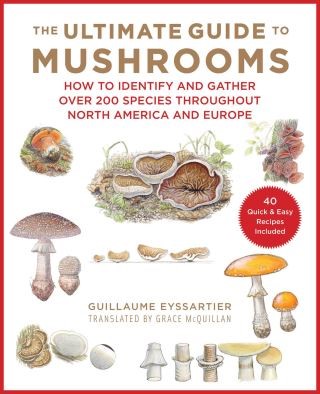 The Ultimate Guide to Mushrooms Cover Image