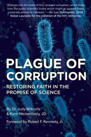 Plague of Corruption Cover Image