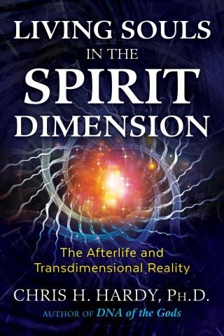 Living Souls in the Spirit Dimension Cover Image